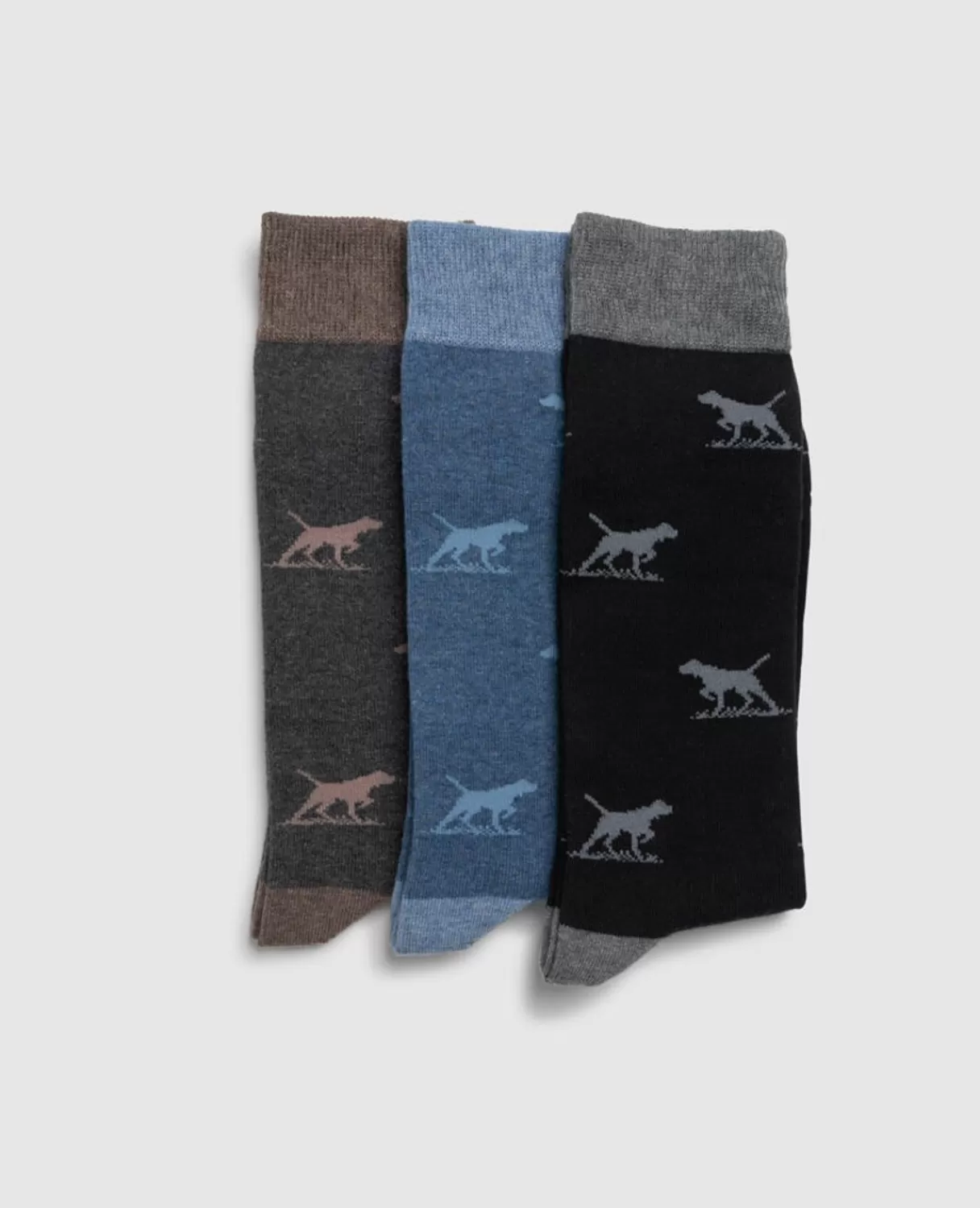 Hot Rodd & Gunn Dogs-A-Plenty Three Pack Socks Biz Multi