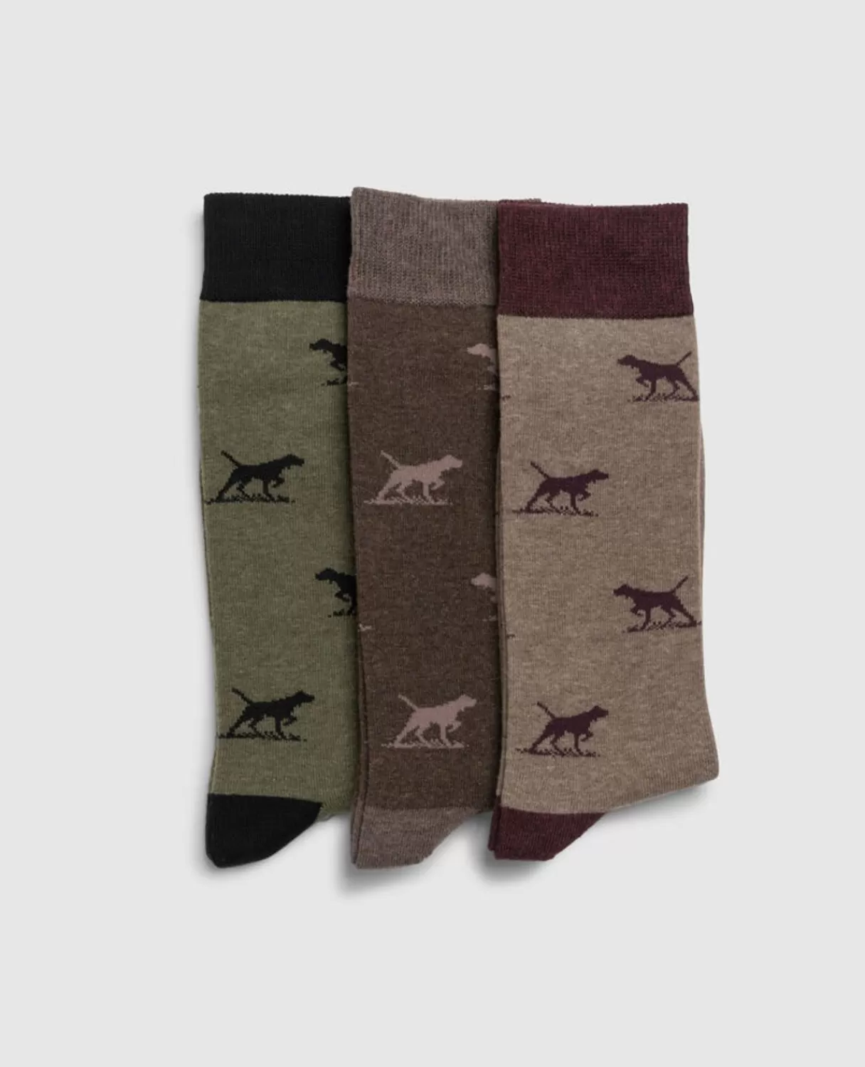 Cheap Rodd & Gunn Dogs-A-Plenty Three Pack Socks Earth Multi