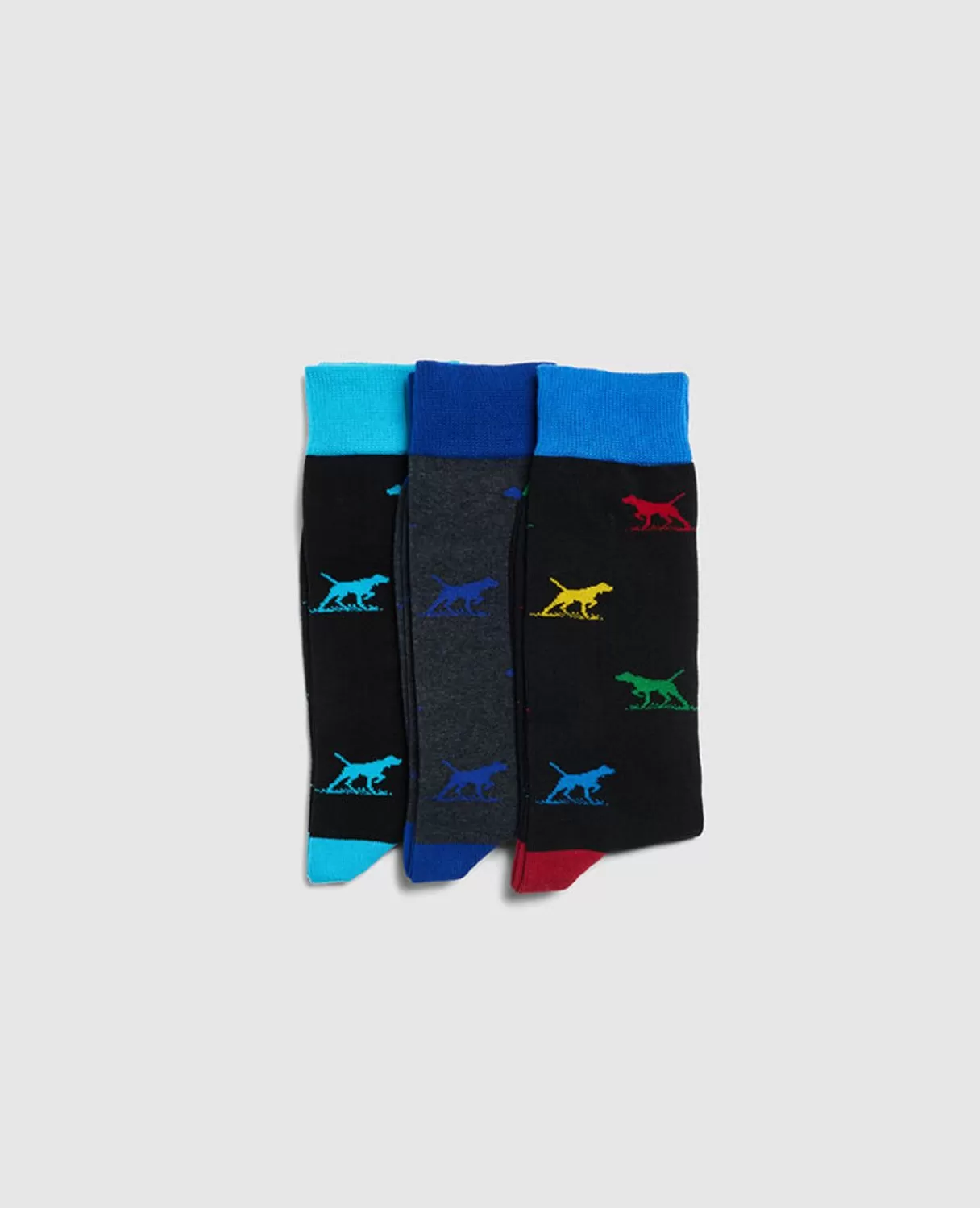 Online Rodd & Gunn Dogs-A-Plenty Three Pack Socks Bright Multi