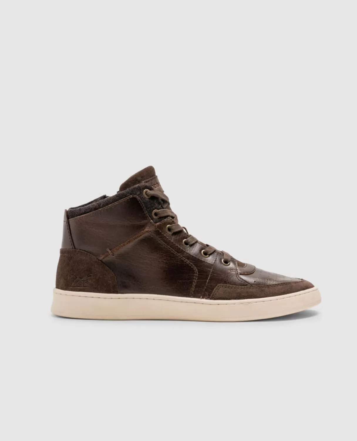 Hot Rodd & Gunn Sussex High Street Sneaker Chocolate Wash